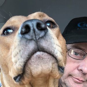 Meet your Posher, Lynn